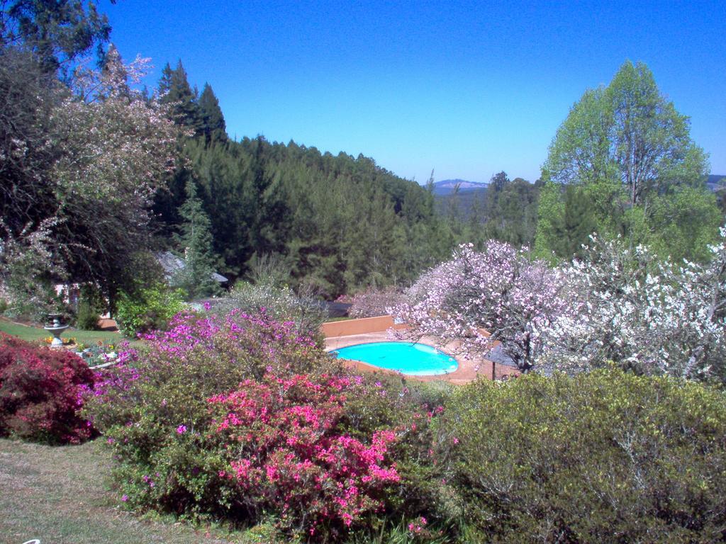 Cheerio Trout Fishing & Holiday Resort Tzaneen Habitación foto